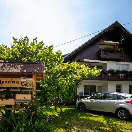 Apartmaji Colja Bohinj Buitenkant foto